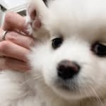 𝙈𝙄𝘾𝙃𝙀𝙇𝙇𝙀 ꉂ(ˊᗜˋ*)𐤔𐤔 | 💉(michexx.l_)'s profile avatar
