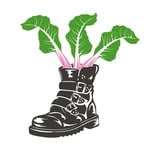 She Grows Veg Ltd(@shegrowsveg)'s profile avatar