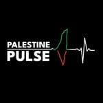 @pal_pulse