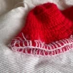 holly hat