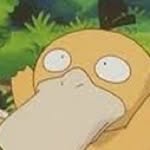 daphne(39daph)'s profile avatar