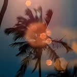JAY(jaygrafias)'s profile avatar