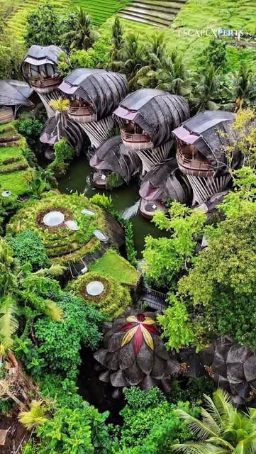 Where luxury meets nature 🌿✨
Ulaman Bali is an eco-luxury retreat designed in harmony with the jungle bamboo architecture, flowing rivers, and total serenity.

This is slow travel at its finest.
Private villas, holistic experiences, and a deep connection to nature without sacrificing comfort.

📍 Bali, Indonesia
💎 Perfect for honeymoons, wellness escapes, and meaningful luxury journeys.

Book your stay with us. Link in bio.
It doesn’t cost you more travel smarter with EscapeXperts.

#LuxuryTravel #UlamanBali #EcoLuxury #BaliLuxury
#SustainableTravel #WellnessRetreat #LuxuryHotels
#NatureMeetsLuxury #EscapeXperts #TravelInStyle