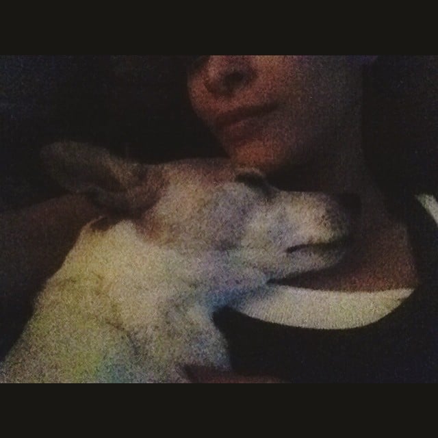 I'm convinced time will stop the day his heart does...I love this old dog 😌