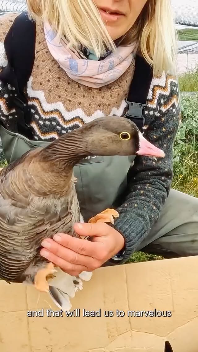 Supporting nature and wildlife conservation.Since the 1990s, Fjällräven and the Swedish Association for Hunting and Wildlife Management (@jagareforbundet) have been collaborating on projects to support wildlife and nature conservation. What brings these two organisations together, and how do they see the partnership develop in the future? Hear from Fjällräven CEO, Martin Axelhed, and the General Secretary for the Swedish Association for Hunting and Wildlife Management, Carl-Johan Djurstedt Holm, as they discuss this long-standing relationship. by @fjallravenhunting