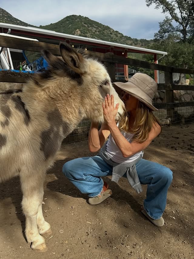 Sunday dump day! ❤️😘🐰 by @jenniferaniston