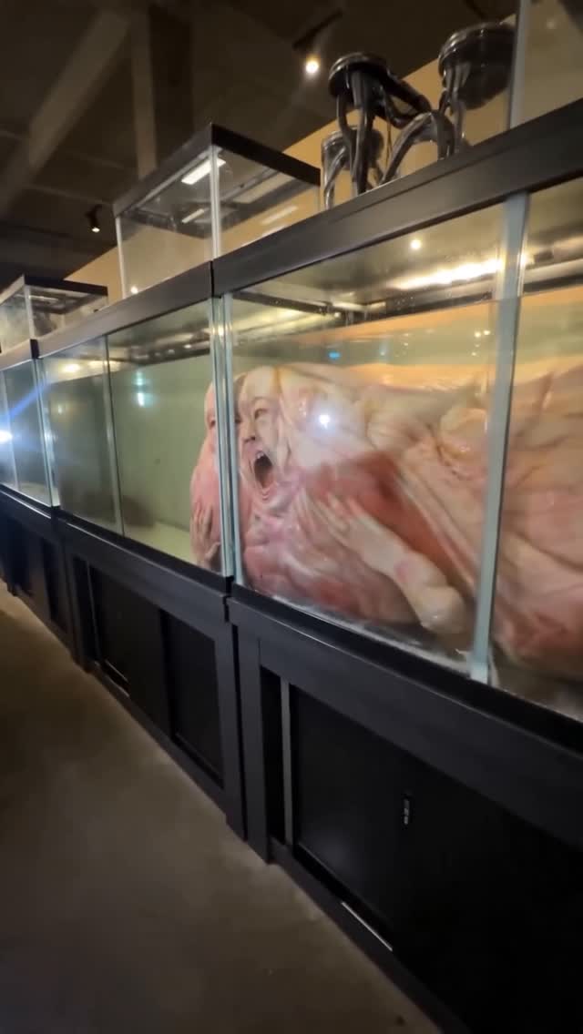 fishtank by @voidstomper