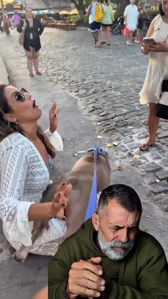Sexualidade frustrada é um assunto sério. Muitos casos de agressividade, ansiedade e excitação excessiva têm relação com cães constantemente estimulados, mas sem controle. E sim: carinho também pode gerar estímulo sexual. Ignorar isso não muda a natureza do cão.

#cachorro #adestramento #comportamentocanino #cãoemminutos