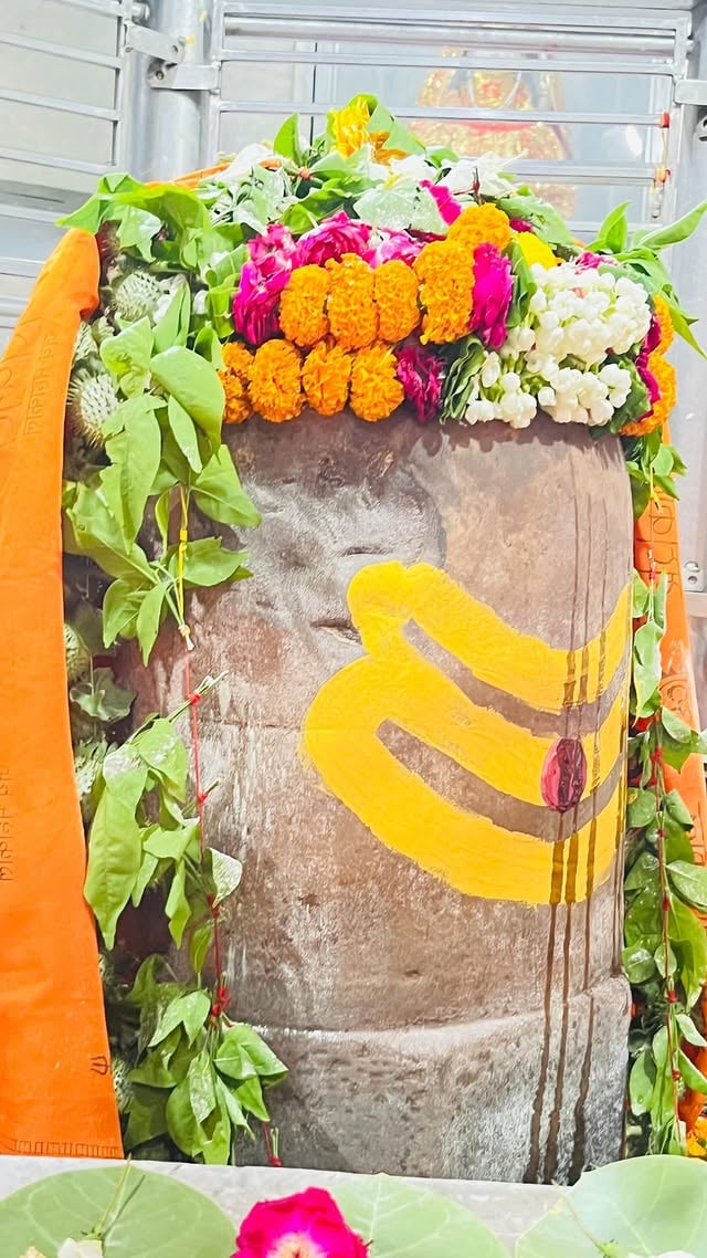पीपल की छाव में , बैठी है मैया मेरी ठंडी हवाओ में 🙏🏻#bhajan #trending #reels #viral #instagram by @nehachauhan14581