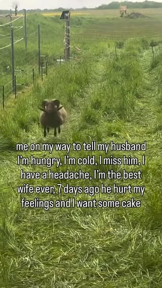 #marriage #couple #relationships