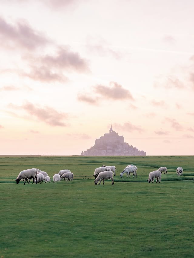 A few days ago, we had the honor of photographing a wedding at Mont-Saint-Michel. This extraordinary UNESCO World Heritage site had not hosted a wedding in centuries. To witness and capture such a rare moment for the sweetest couple was something we’ll never forget. Grateful beyond words to do what we love in places filled with so much history and magic.#montsaintmichel #montsaintmichelwedding by @josevilla