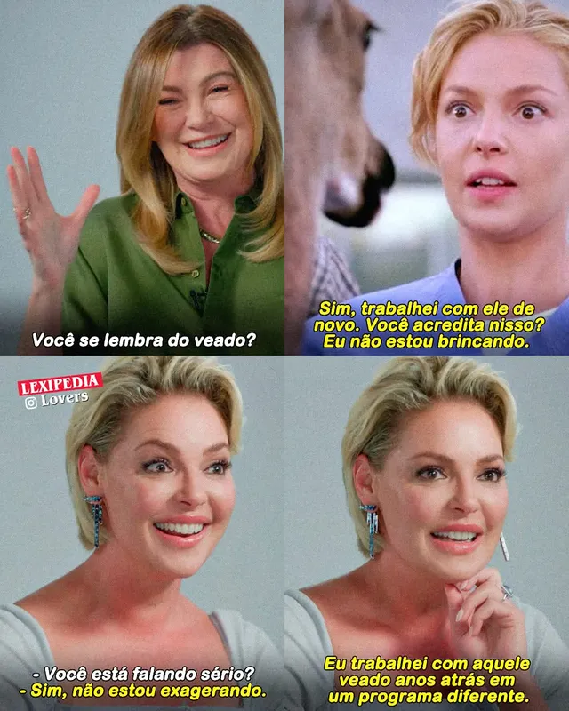 Katherine Heigl contando que contracenou com o mesmo cervo da 4ª temporada de Grey's Anatomy anos depois. 🤣 #GreysAnatomy by @lexipedia_lovers
