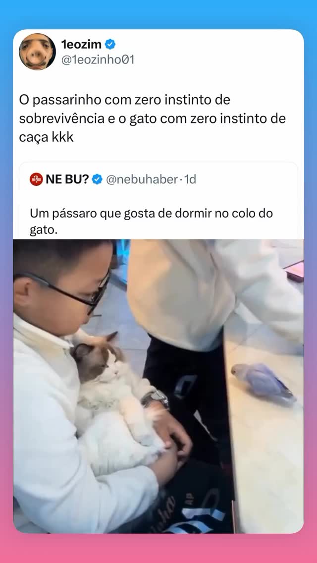 A coisa mais linda que você verá hoje