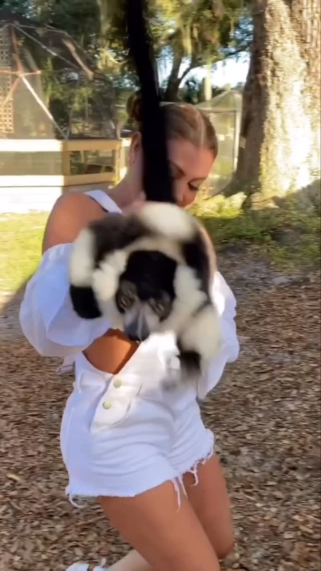 Who knew lemurs would be this friendly!🤪