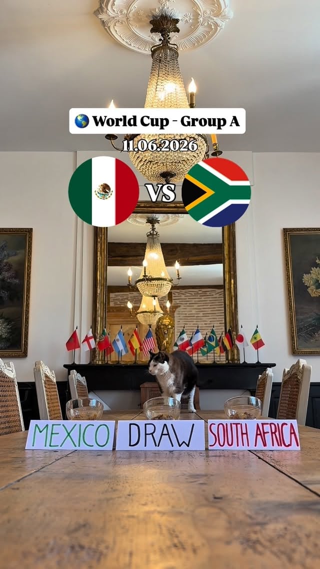 Nimbus prediction for World Cup opener! 😾🔮

#mexico #southafrica #worldcup #fifa #nimbuspronos