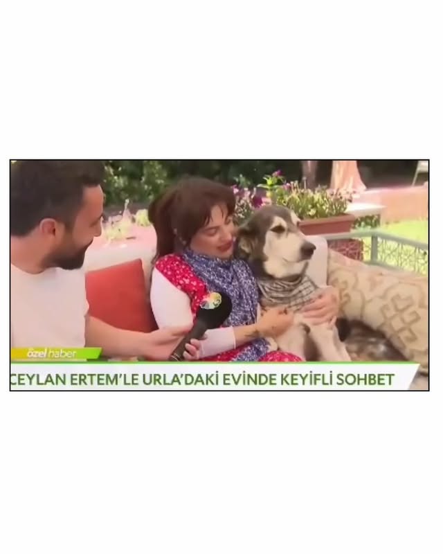 Zorlu bir gün daha bizi bekliyor, gündem karışık. Yüzünüze biraz tebessüm bırakayım isterim.
Bizim son günler; 

1- bizim aile magazinde :)
2- bayramda jimi pek mutluydu çünkü anane geldi
3- elluş’uma 78 kere aferin dediğim bir günden
4- mişka’mın iç çekişi 😭
5- bebo’nun müthiş sopası 
6- zappa kuş gözlüyor
7- hevo’mun su içişi 
8- salif’im ile sabah sohbetlerimiz
9- bebo kameralara yakalnırsa
10- jimi’nin tehditleri 
11- bebo ve jimi’nin gece coşkusu
12- ben de arada coşuyorum
13- müzik ve birliktelik her şeye rağmen güzel
14- mardin’de müzisyenler ve gecenin güzelliği 
15- keşke 15 adet kolum olsaydı, yetemiyorum
16- elluş’a kolye aldım 🧿
17- sahil yürüyüşü en sevdiğimiz
18- hevo ve jimi beni uğurlarken 
19- mordoğan’da akşam 
20- mardin bienali ve çocuklar ♥️
