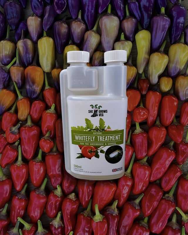 Your reminder to plan ahead ✅ Pests don't wait for you to be ready. Whiteflies are coming. The pigeons are watching. The caterpillars are monopolising and they WILL find your brassicas.It's time to get ahead of them so you're not scrambling after the damage is done.Our defence lineup is all natural, all organic, and kind to your soil and pollinators:🆘 Whitefly Treatment for when the sap-suckers descend in clouds🆘 Grazers sprays to deter butterflies & caterpillars, slugs & snails, plus rabbits, pigeons, deer and geese (yes, the whole menagerie).No blue pellets, no guilt, no chemical warfare on your veg patch. Just a polite-but-firm "not today" to everything that fancies a free lunch.Head to stories to stock up 🛍️ by @shegrowsveg
