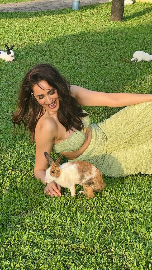 🐇💚