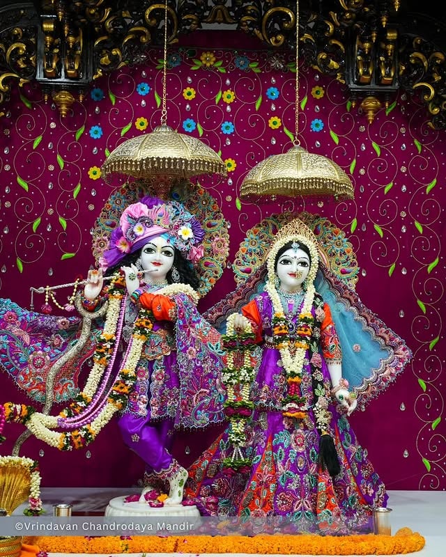 Today's Sringar Darshan of Sri Radha Vrindavanchandra, 10 June 2026
बुधवार, ज्येष्ठ मास, दशमी तिथि, कृष्ण पक्ष, विक्रम संवत् २०८३, गौरबदा 540
 
#vrindavan #vrindavanchandrodayamandir #tallesttemple #Krishna #radha