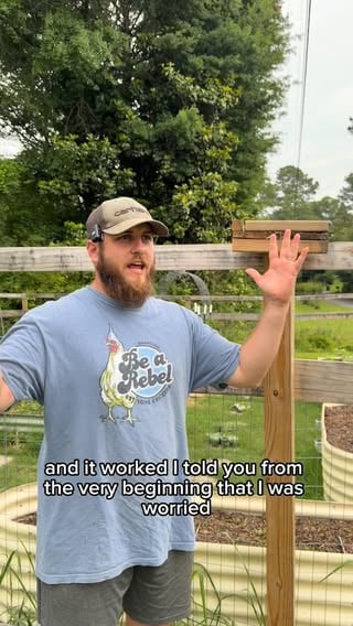 This is absolutely getting to my head 

#homestead #foilhatgang #homesteader #crows