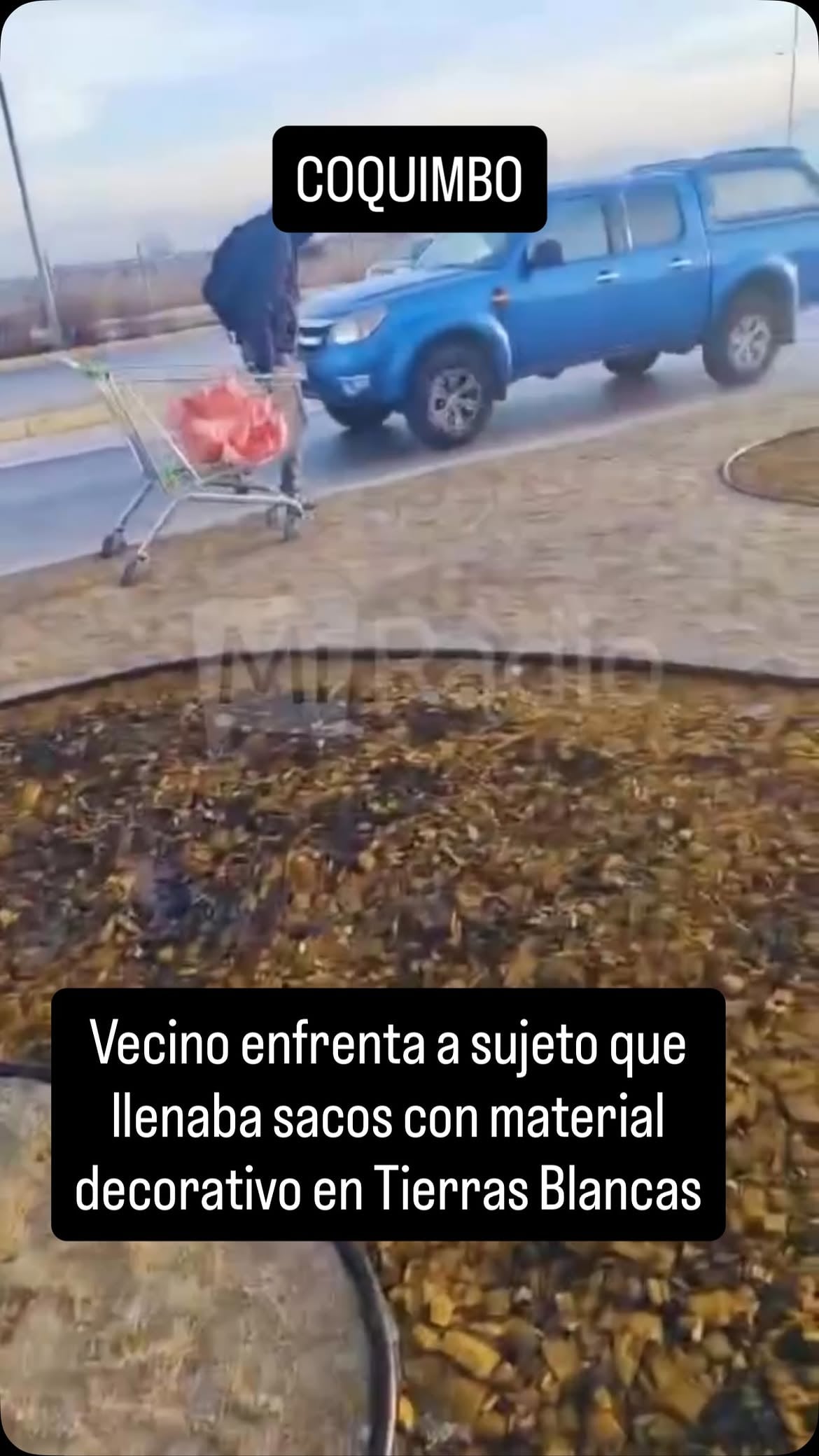 Un vecino registró y encaró a un hombre que, según se aprecia en un video difundido en redes sociales, estaba retirando material decorativo desde la entrada del sector Tierras Blancas, en Coquimbo.

De acuerdo con las imágenes, el individuo ya había llenado tres sacos y se encontraba completando un cuarto cuando fue sorprendido por el residente.

Tras ser confrontado, el sujeto devolvió el material que llevaba y abandonó el lugar.

El registro ha generado diversas reacciones entre los usuarios de redes sociales, quienes destacaron la intervención del vecino.