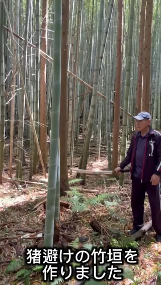 総集編です♪