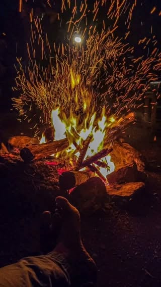 Law of life 
.
.
.
.
.
#munnardiaries🌴🏞️ #trendingreel #fpyyyyyyyyyyyyyyyyyyyyyyyyyyyyyyyyyyyyyyyyyyyyyyyyyyyyyyyyyyyyyyyyyyyyyyyyyyyyyyyyyyyyyyyyyyyyyyyyyyyyyyyyyyyyyyyyyyyyyyyyyyyyyyyyyyyyyyyyyyyyyyyyyyyy #instagram #virel