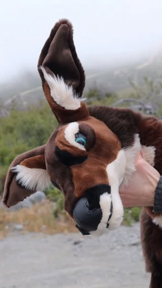 Over the last few months, I have been making a variety of deer plushies, including this Life size deer plushie. I created the deer sewing pattern in blender and plushify. It's currently the biggest deer I have ever created. #sewing #plushie #furry #fursona