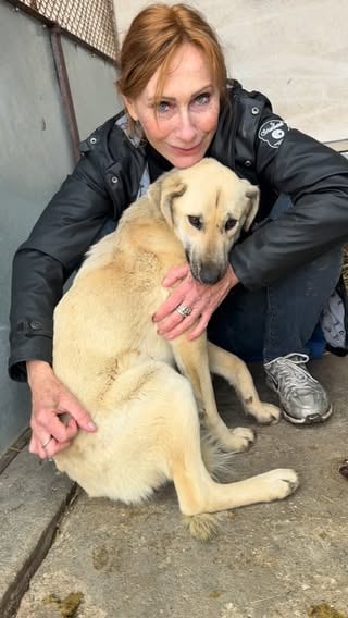🍀𝗔𝗨𝗙 𝗣𝗙𝗟𝗘𝗚𝗘𝗦𝗧𝗘𝗟𝗟𝗘 IN 15370 Fredersdorf-Vogelsdorf🍀

🆘 HUNDE AUS DER TÖTUNG IN SMEENI 🆘 

 ‼️ bitte teilen ‼️
 
 ❤️ ADOPTIEREN = LEBEN RETTEN ❤️

Zwei Tierschützer, die mit der Stadt einen Vertrag geschlossen haben und Strassenhunde aufnehmen, kämpfen um jeden sicheren Platz, damit die Hunde nicht auf der Todesliste landen. 

Ich genieße es so sehr - die Nähe und Geborgenheit zu spüren. Nun wird sich meine kleine Welt verändern. Nie wieder muss ich hungern, frieren oder Angst haben. Ich bin so unfassbar lieb, dass ich schnell alle Herzen erobert habe - vielleicht auch deins ? 🏡 

* Hündin 
* ca. 1 Jahr
* ca. 50 cm 
* gechipt, geimpft, kastriert, EU Pass 
* verträglich mit Artgenossen
* Katzentest nicht möglich 
* im NaTiNo Shelter in Rumänien
* ausreisefertig 🚚

Bei Interesse füllt gleich den Bogen aus - Name: Lakshmi - Hündin 787

https://www.natino.de/interessentenbogen-hund/

Bitte helft mir meine Familie zu finden ! 

Danke
Eure Lakshmi - Hündin 787 ❤️
NaTiNo e.V. 

www.instagram.com/sabine_peschke

...................................................................……

NaTiNo e.V.
SozialBank Köln
IBAN: DE83 3702 0500 0001 5066 00
BIC: BFSWDE33XXX

Paypal: spenden@natino.de

(‼️Bei Paypal bitte Familie & Freunde auswählen, sonst entstehen Gebühren‼️) 

#adoptdontshop #tierschutzhunderumänien #adoptierenstattproduzieren #adoptme adoption