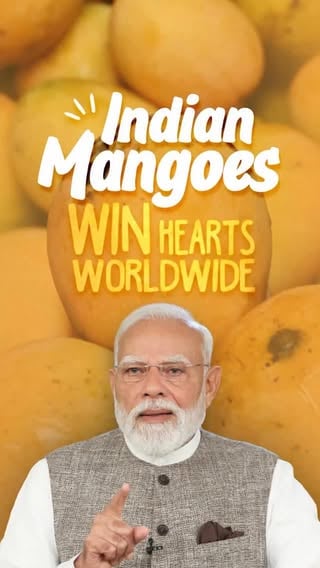 India is the place to be for mango lovers. 

Which is your favourite mango? 🥭