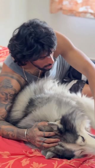 Back home with my favourite boys 🐾