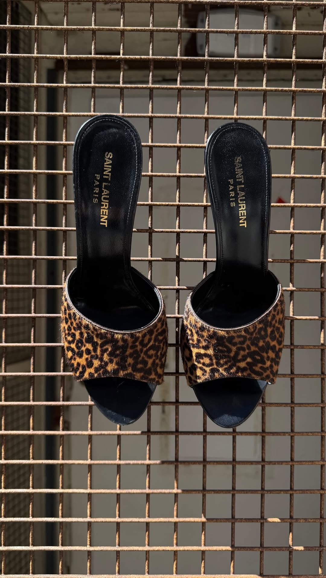 Girls… what are we calling them?