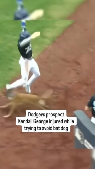 An initial MRI revealed no ligament damage after Dodgers prospect and Tulsa Drillers outfielder Kendall George injured his patellar tendon while jumping out of the way to avoid a bat dog, a source with knowledge of the situation said.