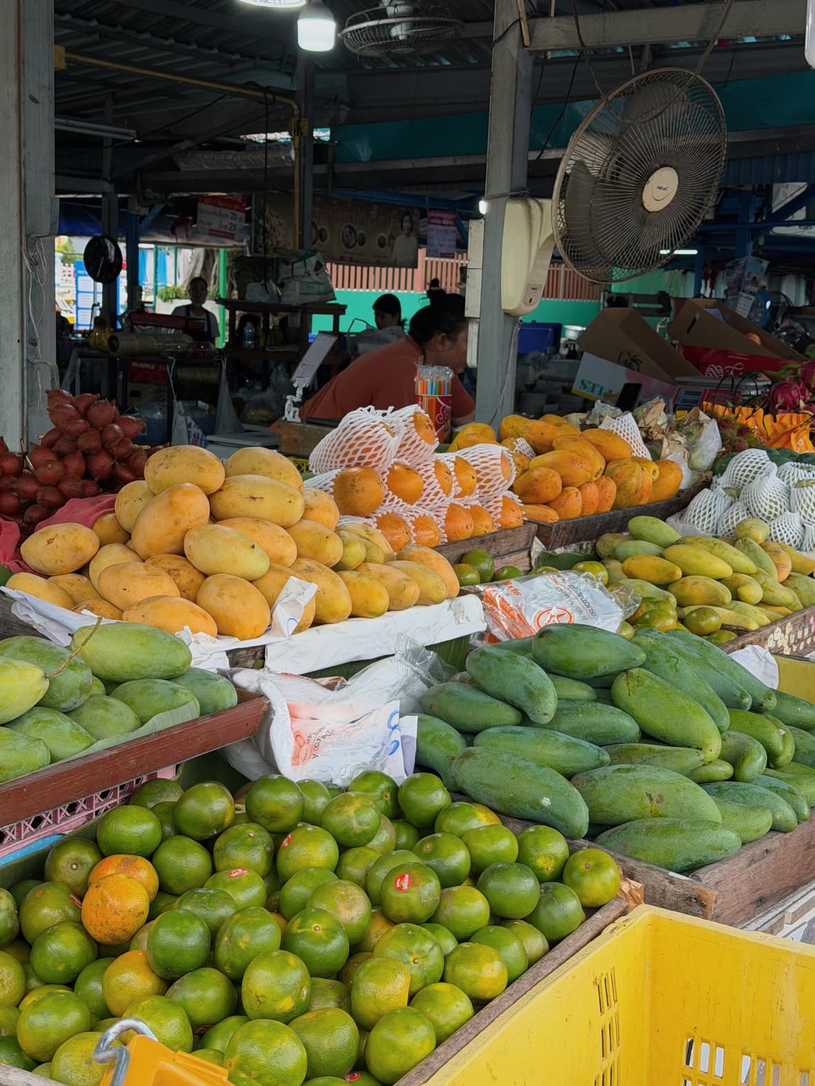 푸켓 시내 투어 🌴 Exploring Phuket town

한국어 유창한 현지 가이드님과 올드타운 구경하고
예쁘게 잘라오신 망고, 두리안, 망고스틴 실컷 먹고
초콜릿 카페에서 달달 아이스라떼 마시며 쉬어가기

지금 이 장면들 브이로그 편집중인데, 
다시 봐도 참 좋았던 시간이라 여러분과도 함께 나누고파요 🫶🏻

열심히 편집해서 이번 주말 목표로(!) 가져와 볼게요- 아자! 

Travel vlog coming to YouTube soon ♥️