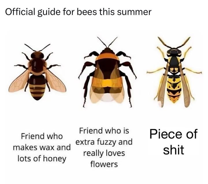 Be on the lookout