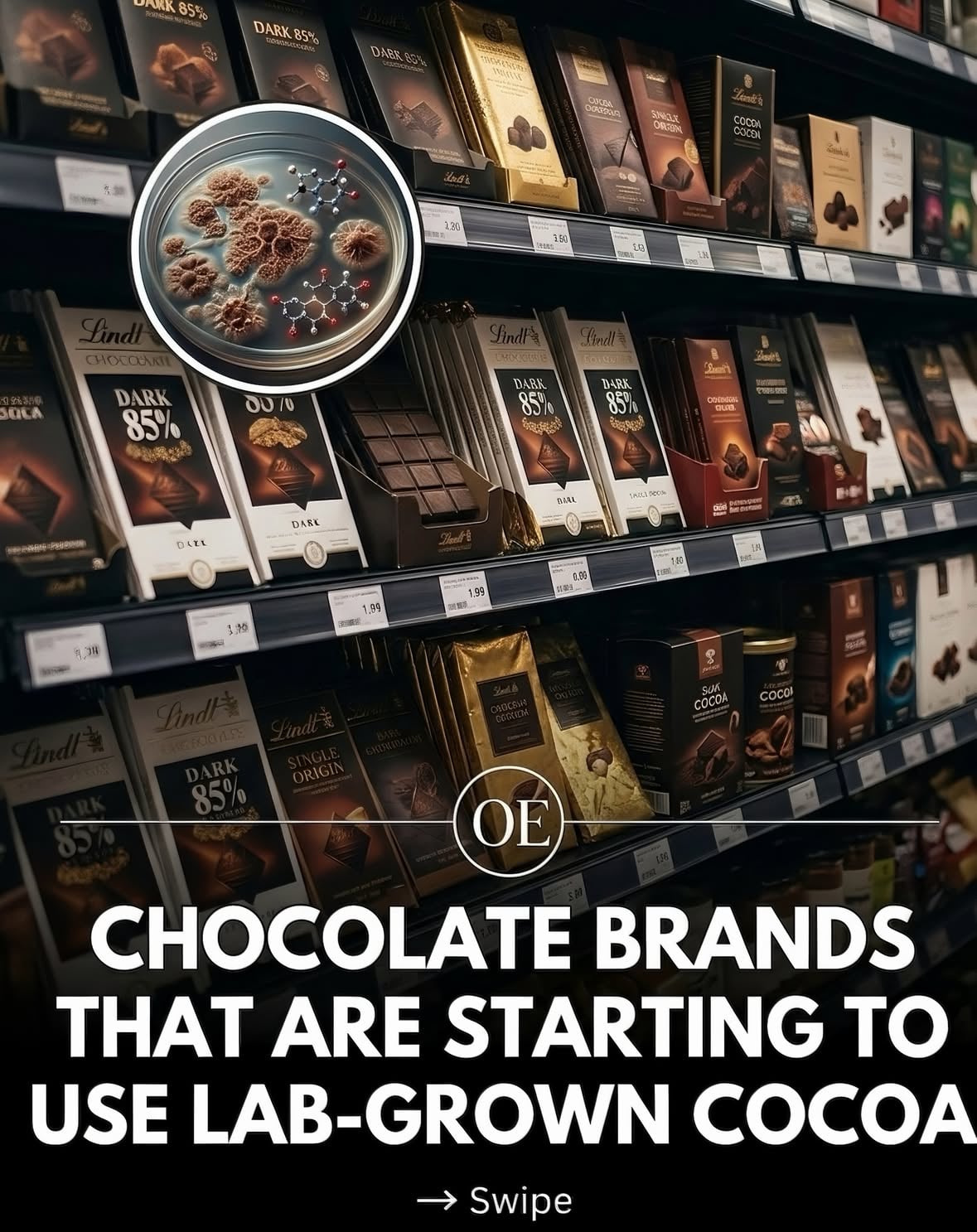 Major chocolate brands are officially starting to use and invest in lab-grown cocoa.

Here is a breakdown of what the biggest players are spending:

 Reese’s: Invested $20 million into a biotech company that creates lab-grown cocoa.

 Lindt: Invested $5.6 million into a lab-grown cocoa company.

 KitKat: Invested a massive $44 million into a lab-grown cocoa company.

 Cadbury: Invested $4.6 million into a lab-grown cocoa company.

 Kinder: Invested $15 million into a lab-grown cocoa company.

 Snickers: Has a staggering budget of $2 billion to invest into lab-grown chocolate.

 M&M’s: Has a massive budget of $1.4 billion to invest into lab-grown cocoa.