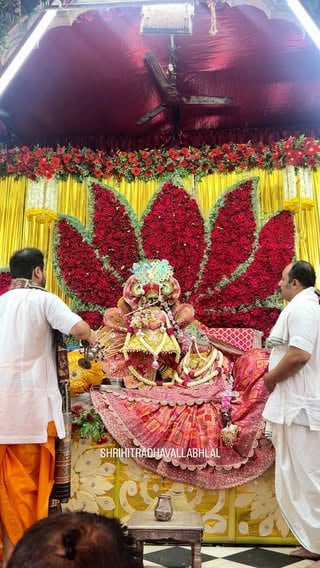 संध्या आरती दर्शन - 31/05/26 🦚

 ठाo श्रीहित राधावल्लभ लाल जू मंदिर वृन्दावन ।
*श्री जी मंदिर से संबंधित जानकारी व सेवाओं को श्री जी के चरणों में निवेदन करने हेतु संपर्क करे* !!
संपर्क सूत्र - 8168100515
.
गोस्वामी श्री हित निमिष जी महाराज (जय जय)
श्री हित राधावल्लभ लाल मंदिर, वृंदावन 
.
श्री राधावल्लभ लाल  जी मंदिर से जुड़े !! 
@shrihitradhavallabhlal

Shri Radhavallabh Lal ji Vrindavan 

#vrindavan #shriharivansh #radheradhe #nimish_goswami  #shrihitradhaballabhlal