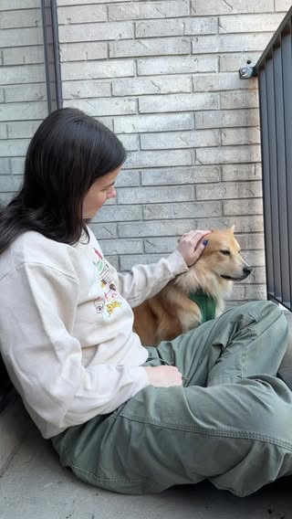 The home that Simon built ❤️

For more, follow @simonsits 

#dogsofinstagram #rescuedogsofinstagram #rescuedog #dogsofnyc #dogmom