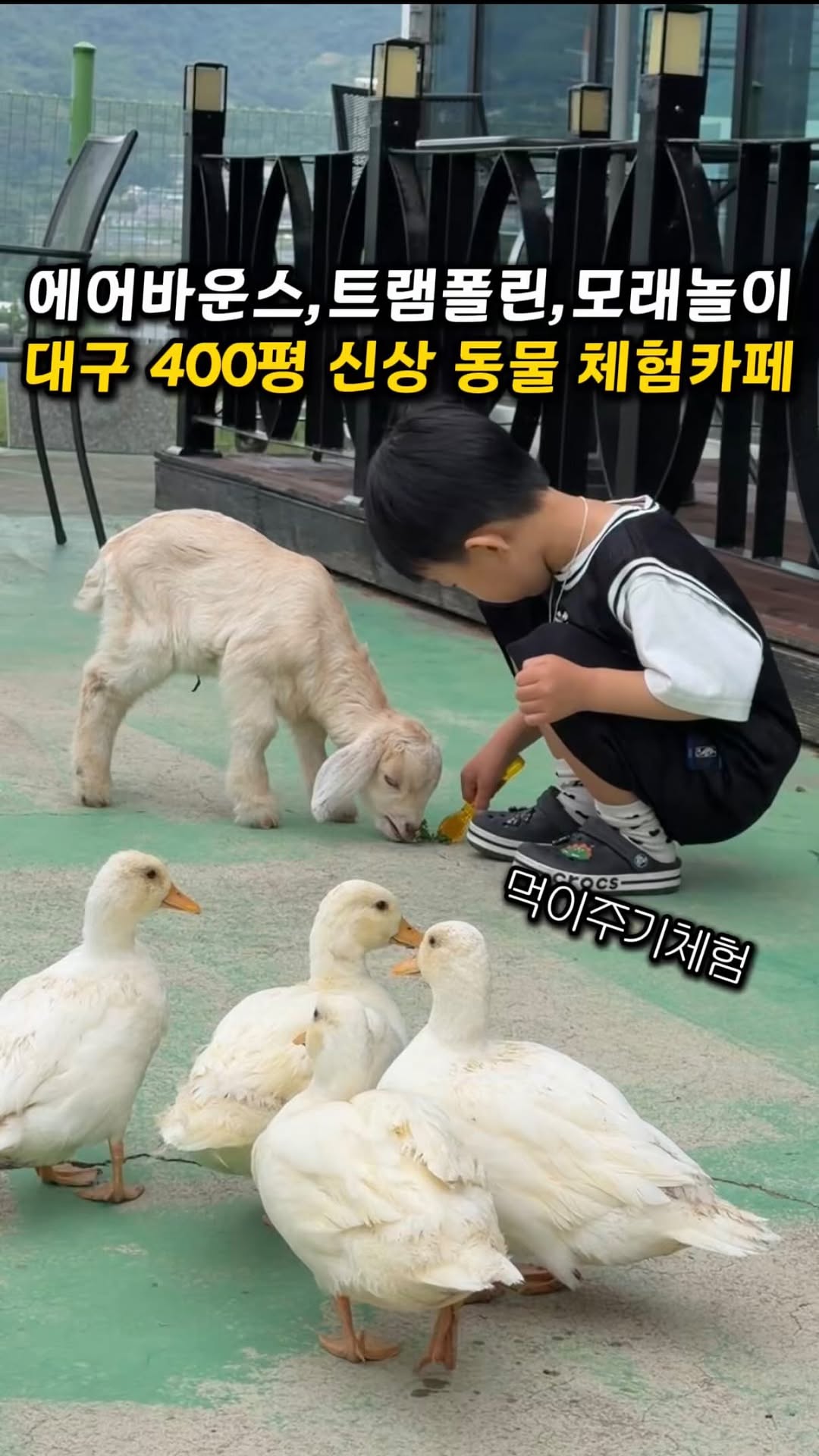대구 직접 교감 가능한 신상 동물체험장 오픈🐰
먹이주기 동물체험+모래놀이+에어바운스+트램폴린

지금 용연사 안에 애들 난리나는 신상 동물체험장 생긴 거 아세요?
대구에서 30분 정도라 거리도 가까운 편이고
10종 넘는 동물들이 있어서 구경하는 재미도 확실
 직접 교감 가능한 체험 위주라 더 반응 좋아요
아기돼지 염소 토끼 콜덕오리 같은 동물들은 
직접 먹이주기 체험 가능하고🐷
실내 들어가면 기니피그 햄스터 거북이 병아리까지
 가까이서 만져보면서 놀 수 있어요

2층에는 🦜앵무새 물고기 도마뱀 크랩 같은 이색 동물
비 오는 날에도 실내 공간이 잘 되어 있고
야외에는 트램폴린 에어바운스 모래놀이터까지 가능

매점에서는 간단하게 간식도 먹을 수 있고
엄마들은 커피 한잔하면서 쉬기 딱 좋은 분위기
새로 오픈해서 시설 자체도 깔끔한 편인데
주말에는 원래 사람들이 엄청 많은 편이라고 하니
 피크시간 조금 피해가면 더 즐길 수 있을 듯

평일에는 아이 입장권 + 동물먹이주기 체험까지 
 💶15000원에 포함된 가격이라 (시간제한 X)
 가성비도 괜찮은 편 (보호자는 5000원 추가)
주말에는 2시간 제한으로 운영된다고 하니 참고

근처에 식당들도 많아서 밥까지 먹고 하루 코스로 다녀오기 좋고
여름에는 물놀이 수영장, 텃밭 체험도 진행 예정
앞으로 더 핫해질 것 같은 곳이에요
(근처 식당 괜찮은 곳  찾아서 그건 따로 업로드 할게요)

#하이주주 @hi.joojoo 
대구 달성군 옥포읍 용연사길 96-30 1층
0502-4005-4455
10:30-18:00 월요일 휴무
#대구키즈카페 #대구아이랑 #대구동물체험 #대구가볼만한곳