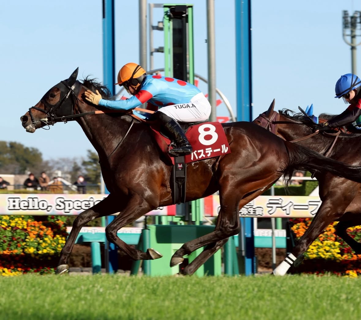 .
今週末は競馬の祭典、日本ダービー(GⅠ)です。

弥生賞ウイナーのバステールが、
僕の今年のパートナーです。

皆様、日本ダービーを楽しんでください。

#日本ダービー
#yugakawada #川田将雅