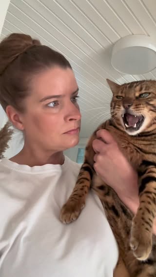 Ein Bengal Kitten war für uns eine bewusste Entscheidung, und wir freuen uns schon sehr auf den Neuzugang. Es wird zwar noch etwas dauern, aber zwischen dem 23. und 25. Juni wird der Kleine bei uns einziehen. Das wird sicher eine spannende und abenteuerliche Zeit!

Außerdem spielen wir bereits seit letztem Jahr mit dem Gedanken, uns eine vierte Katze zu holen – einen passenden Gefährten für Bali. Natürlich kann die Zusammenführung sehr gut funktionieren, sie kann aber auch einige Herausforderungen mit sich bringen. Deshalb bin ich schon sehr gespannt darauf, wie sich alles entwickeln wird.

Selbstverständlich werde ich mein Bestes geben und darauf achten, dass sich alle Katzen wohlfühlen und die Zusammenführung so stressfrei wie möglich verläuft. Und die nächste Katze werden wir definitiv wieder aus einem Tierheim adoptieren. 🥰

#newcat #bengal