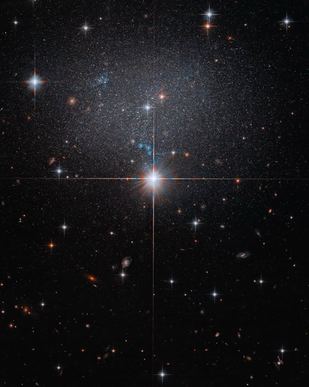 A “starry” galaxy far, far away
 
Peek behind the bright star at the center of this image and you’ll see what appears to be a swarm of faint stars. This is actually a dwarf irregular galaxy residing some 23 million light-years away in the constellation Canis Major. (“Dwarf irregular” means this galaxy has an unusual shape. It’s not a spiral, round, oval, or lenticular – kind of a cross between a spiral and oval.)
 
This image comes from a @NASAHubble program that looked at the movement of galaxies and galaxy clusters through space. Matter in the universe is distributed unevenly, and the gravitational influence that matter has drives the movement of large-scale structures in the universe.
 
#NASA #Hubble #Space #Galaxy