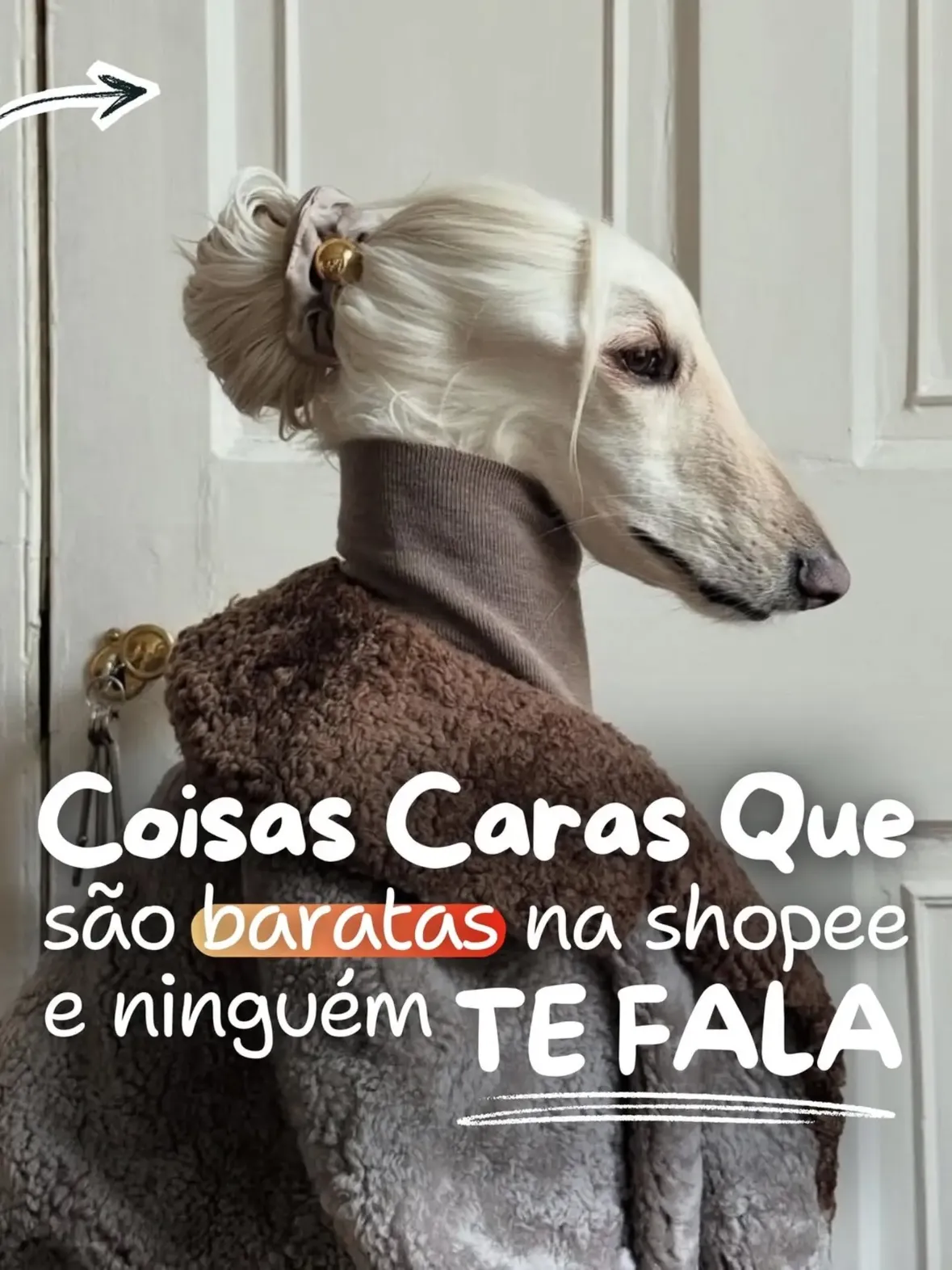 🚨 Para receber o LINK siga antes de comentar, pois ocorre de o LINK nao chegar se nao segue a página 🚨

🚨Quer o link? Comenta “QUERO” que eu envio 😍

🟢 Link da bio
🟢Link nos stories até 24h depois da publicação

✨️ Siga o perfil para receber achadinhos diários 🎉

#publicidade #achadinhosimperdíveis #achadinhos #shopeebrasil #shopee