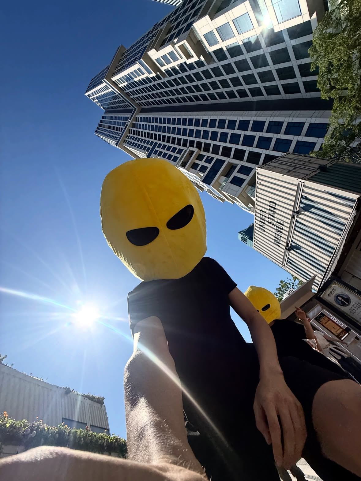 @lemonithesourmakers