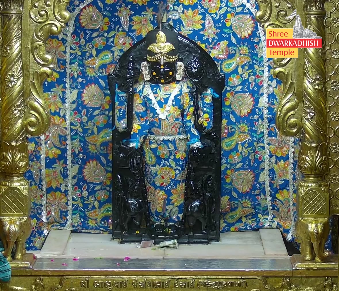 राजाधिराज द्वारकाधीश जी के मङ्गला आरती दर्शन 🙏🏻
श्री द्वारकाधीश मंदिर द्वारका,गुजरात
दिनांक :- 31/05/2026 रविवार 
 
#dwarka #manglaaarti
#ShridwarikadhishmandirOfficial