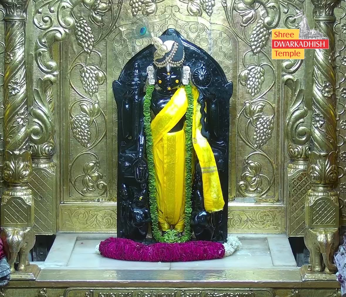 राजाधिराज द्वारकाधीश जी के मङ्गला आरती दर्शन 🙏🏻
श्री द्वारकाधीश मंदिर द्वारका,गुजरात
दिनांक :- 03/06/2026 बुधवार 
 
#dwarka #manglaaarti
#ShridwarikadhishmandirOfficial