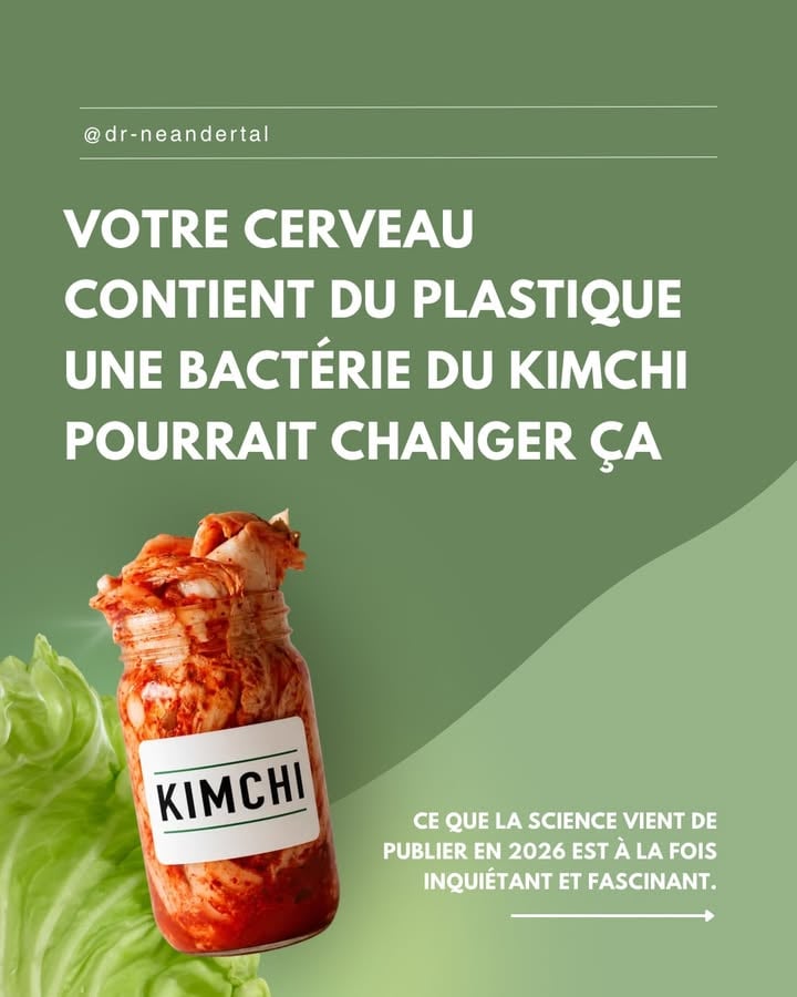 Les nanoplastiques s’accumulent dans le cerveau humain +50 % en 8 ans selon Nature Medicine (2025). Une souche bactérienne dérivée du kimchi vient de montrer une capacité à les capturer avant diffusion systémique. Résultats préliminaires, modèle animal. À suivre.