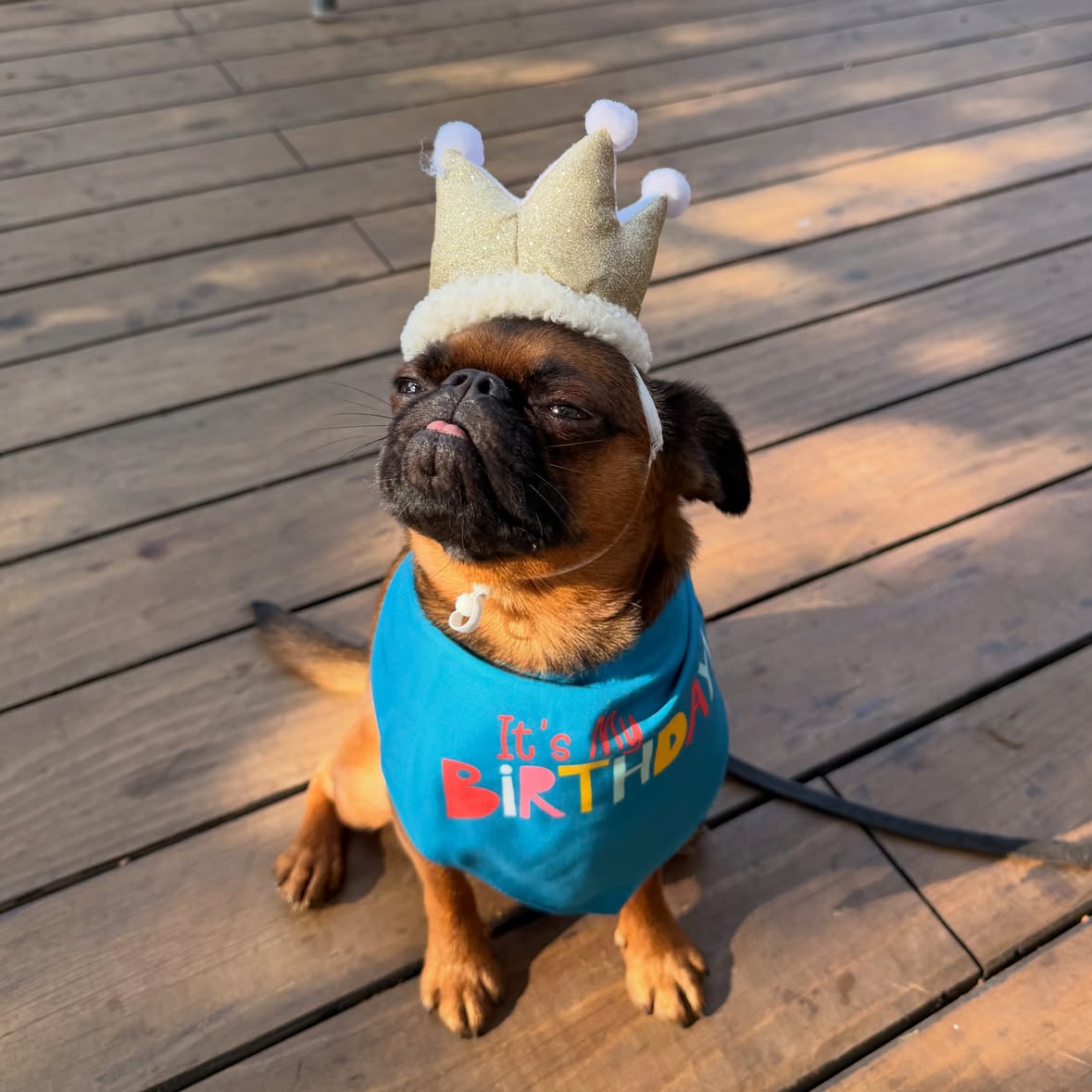 Everyone please with @jeffbersten a happy birthday!!! He’s 2 years old!