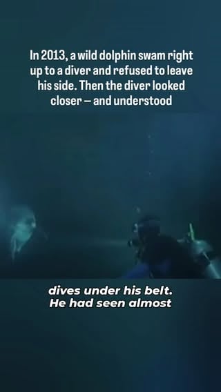 The moment this dolphin swam toward a stranger and asked for help.

What happened next is extraordinary. 

#ocean #dolphin #heartwarming