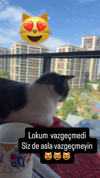 Lokum vazgeçmedi sizde asla vazgeçmeyin 😻😻😻
#sevdaturkusev #sevdatürküsev